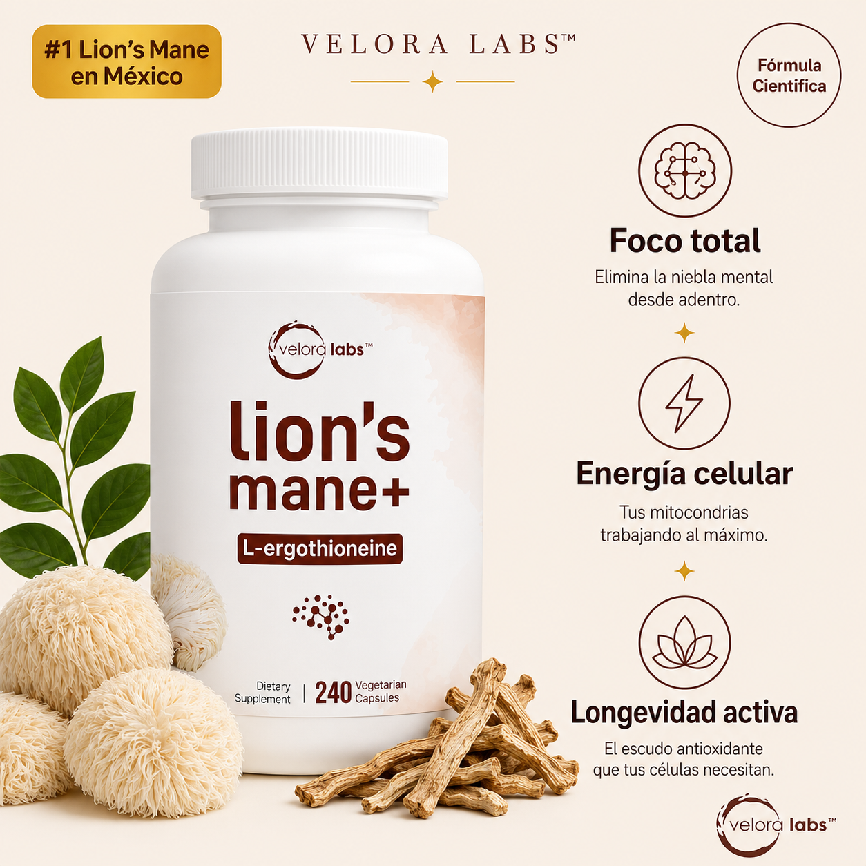 VELORA LABS™ Lion's Mane + L-Ergothioneine | 240 Cápsulas