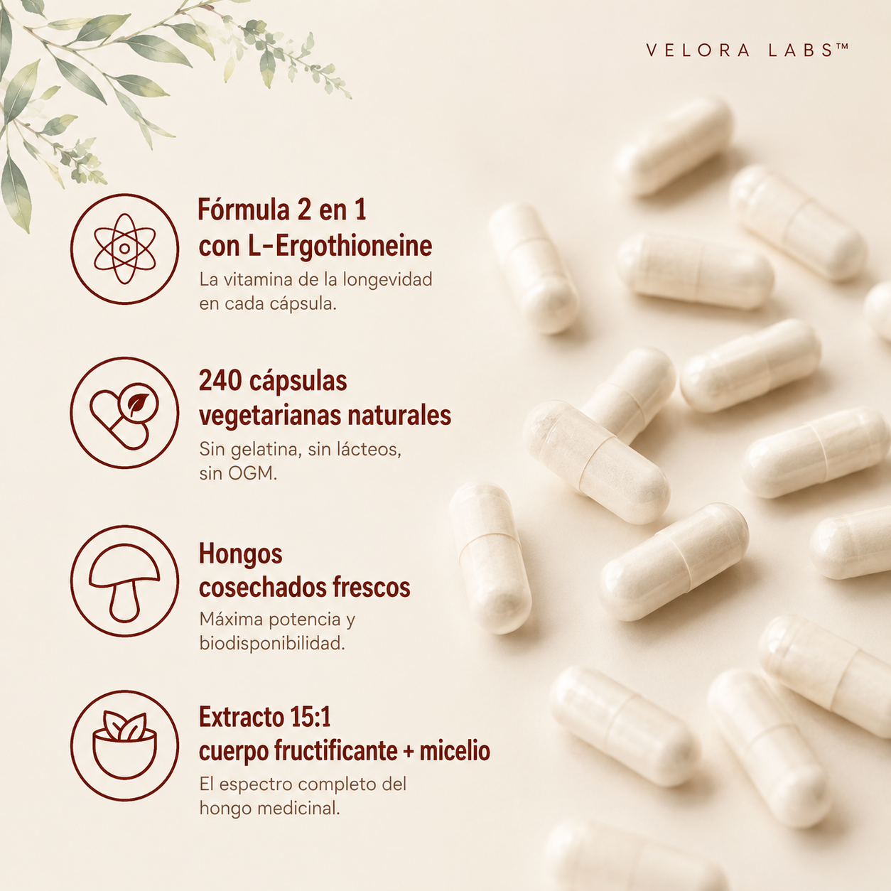 VELORA LABS™ Lion's Mane + L-Ergothioneine | 240 Cápsulas