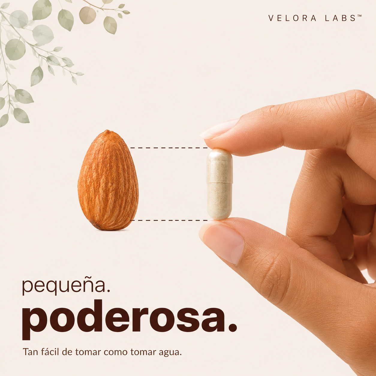 VELORA LABS™ Lion's Mane + L-Ergothioneine | 240 Cápsulas