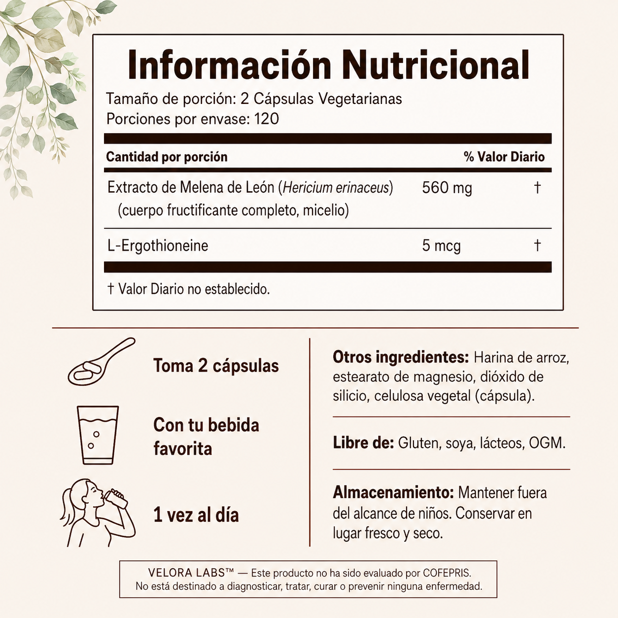VELORA LABS™ Lion's Mane + L-Ergothioneine | 240 Cápsulas