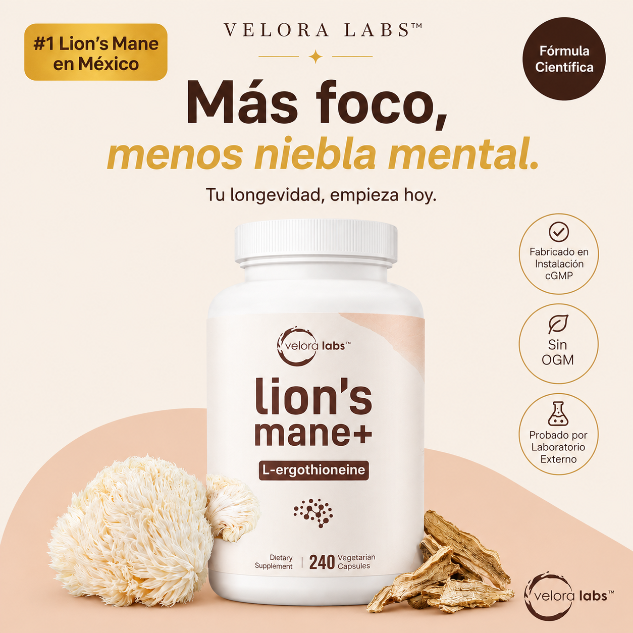 VELORA LABS™ Lion's Mane + L-Ergothioneine | 240 Cápsulas